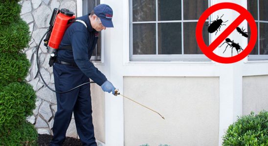 Pertek Tahtakurusu İlaçlama böcek ilaçlama ve haşere kontrolü — ilaclama-tr.com